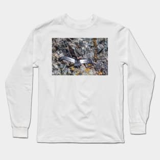 Condor Cleaning Himself - Lake Argentina, Argentina Long Sleeve T-Shirt